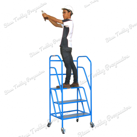 Mobile Ladder Stainless "OPT-0507"